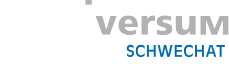 Multiversum Logo